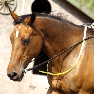 CORDEO BIOTHANE Horse Neck Safety Strap Acts as a useful aid for extra grip and safety