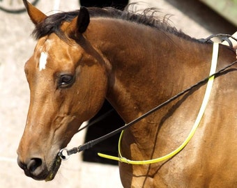 CORDEO BIOTHANE Horse Neck Safety Strap Acts as a useful aid for extra grip and safety