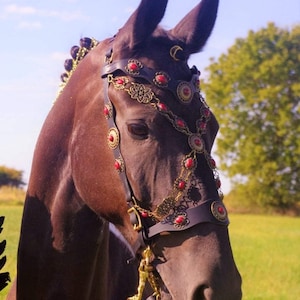 Show Bridle Baroque !!