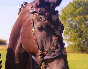 Show Bridle Baroque !!