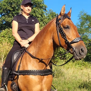 Medieval SET bridle + breastplate - Full - black