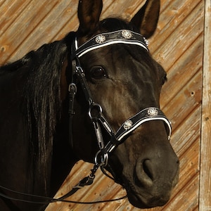 Sidepull  Bridle Baroque Hackamore Bitless Bridle Handmade