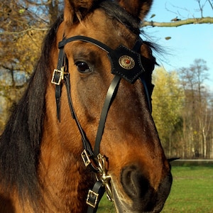 Medieval bridle, handmade Browband X