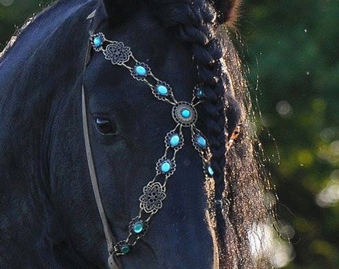 Black Horse Wings Feathered Wings for Horse, Pony or Miniature Horse Pegasus, Equine Angel Horse