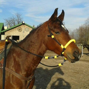 Indian Hackamore = Bridle + reins Rope side pull