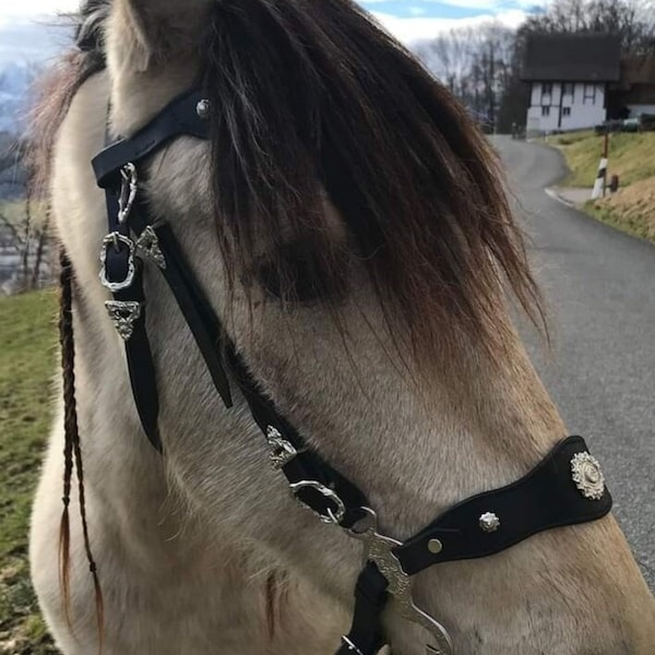 STAR Bitless Bridle - baroque