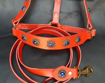 May include: Red leather dog harness and lead set with blue gemstone accents. The harness has a chest strap and a back strap that connect to a ring at the top. The lead has a metal clip.
