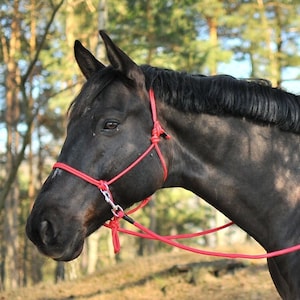 Rope bitless bridle - halter  - reins - Handmade