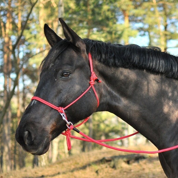 Rope bitless bridle - halter  - reins - Handmade