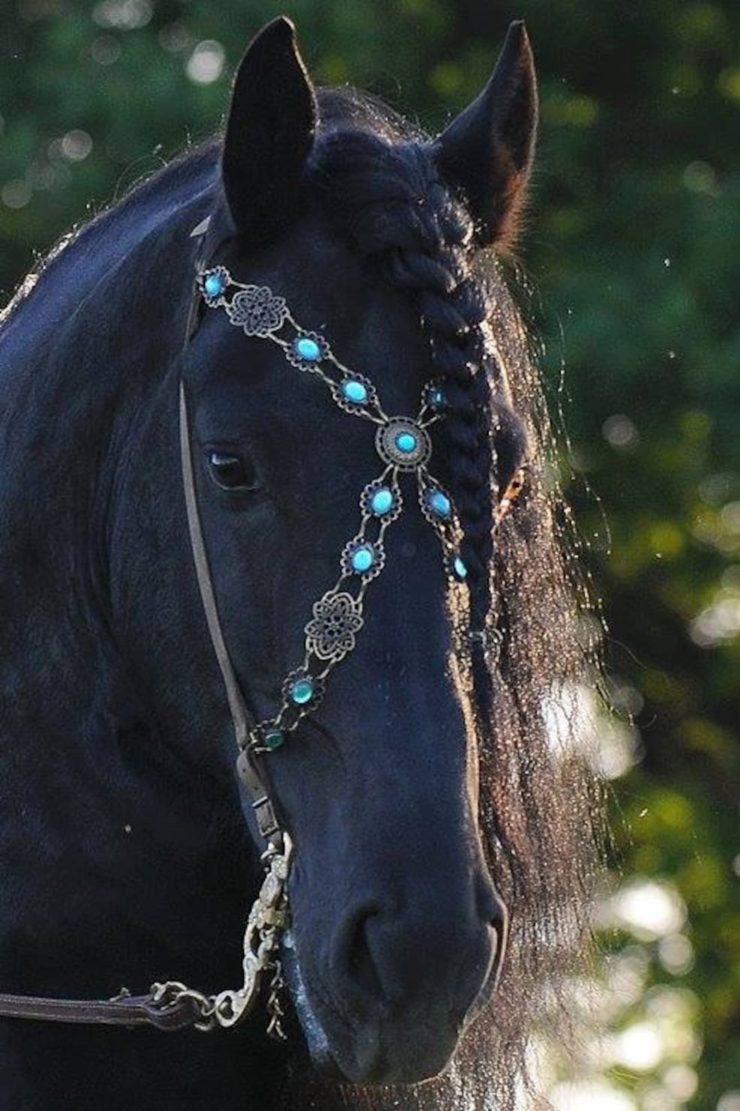 Upcycled fashion Luxury Western Tack Set – Blazzing Bridles