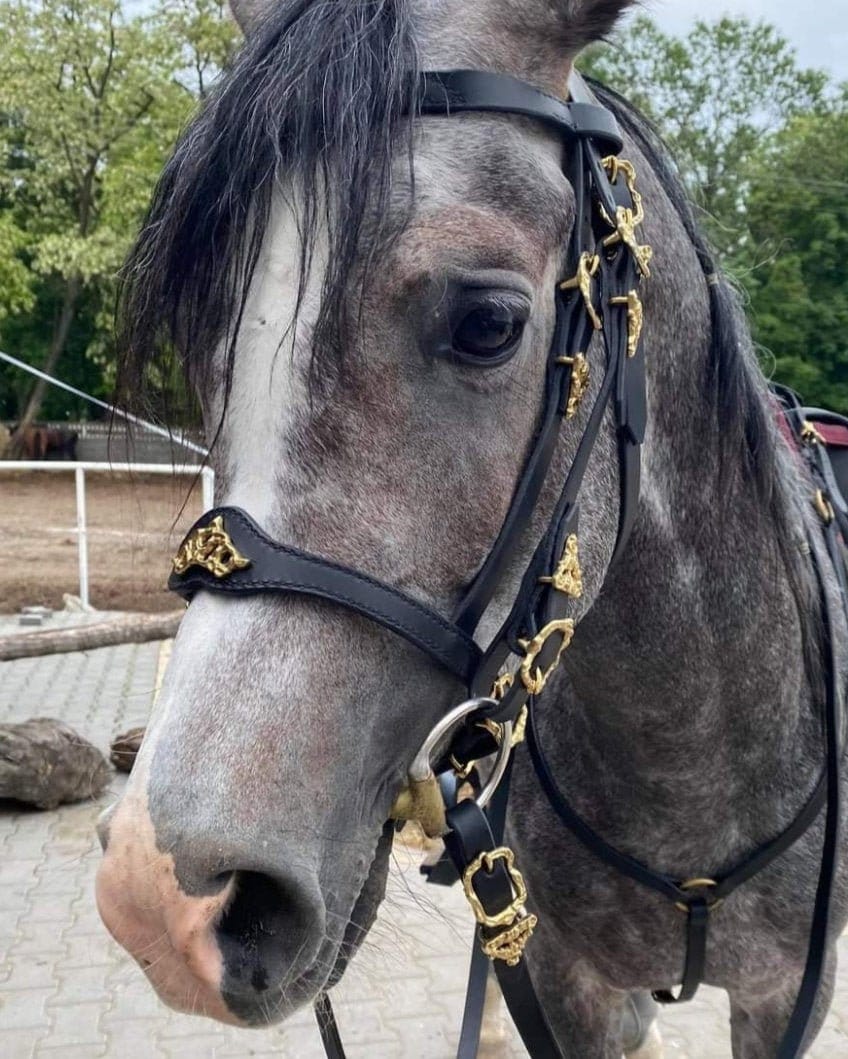 ラインストーン 水勒頭絡・手綱 セット WBRA3 本革レザー- 乗馬用品プラス｜馬具・乗馬用品のネット通販 馬具：　本革無口　ラインストーン装飾つき（中古）