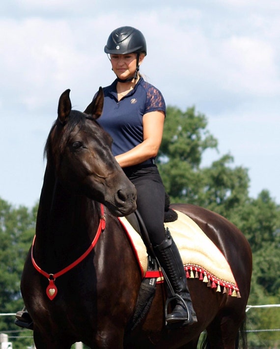 Collier De Maintien Pour Cheval – Équitation Et Travail à Pied – Noir, Taille Unique