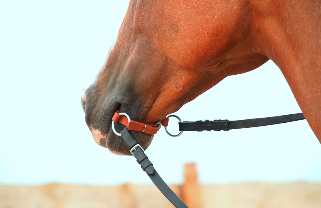 Leather Bridleless Bit Just a Beat or Set beat With Reins Etsy