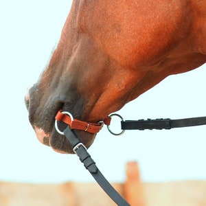 Leather Bridle-less Bit ---- Just a beat or set (beat with reins)