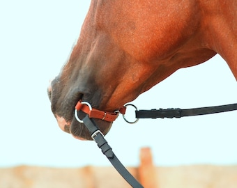 Leather Bridle-less Bit ---- Just a beat or set (beat with reins)