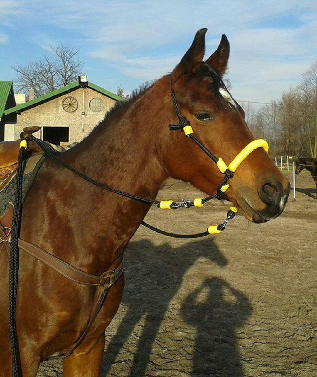 Indian Hackamore Bridle Reins Rope Side Pull Etsy