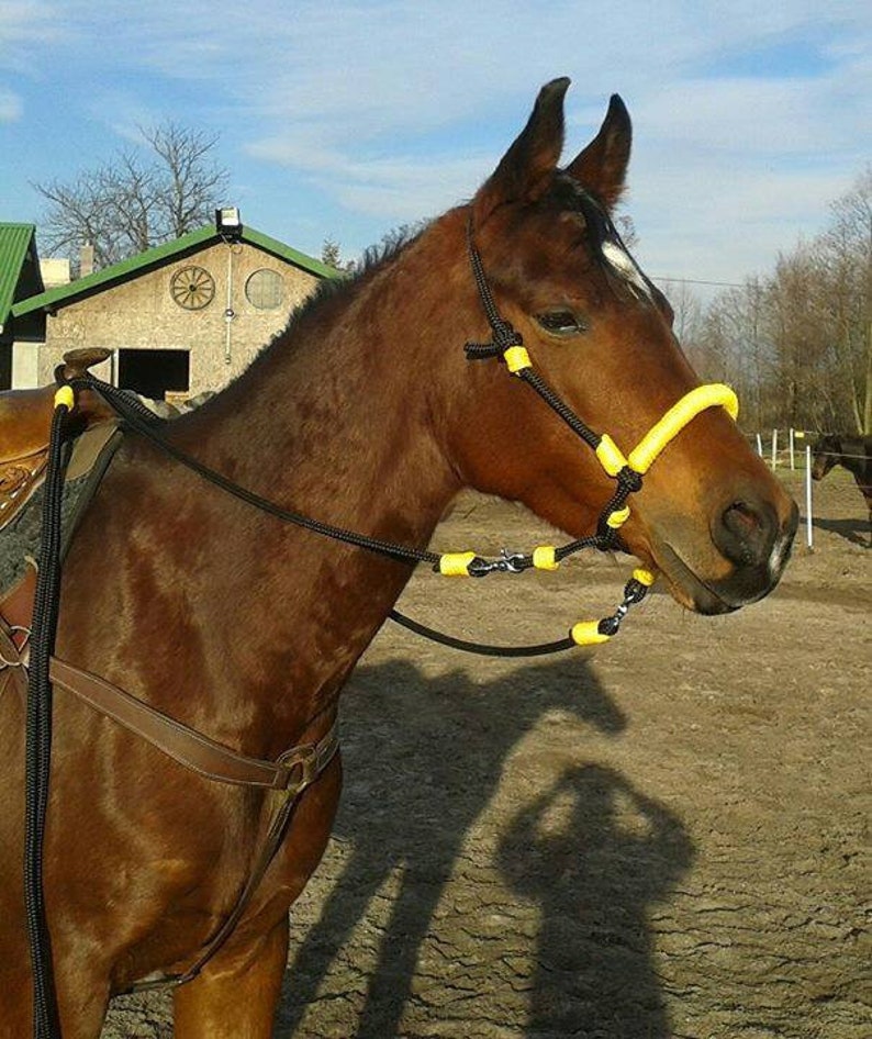 Indian Hackamore Bridle reins Rope side pull Etsy