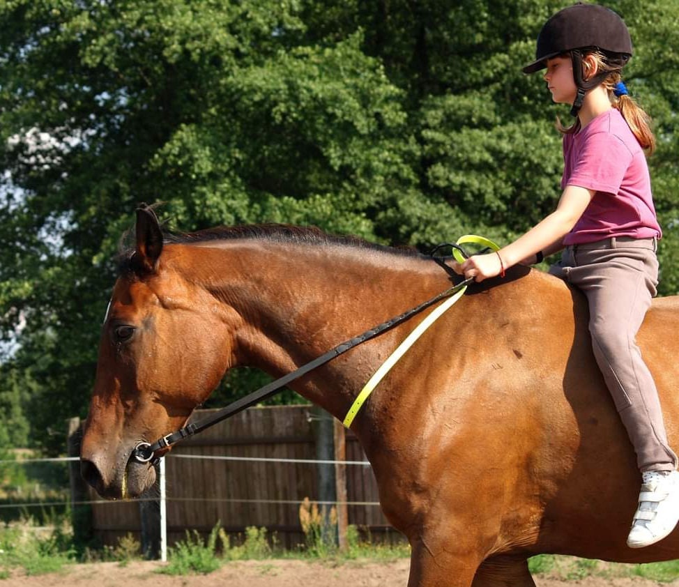 Cordelette Pro – 180 cm pour équitation éthologique