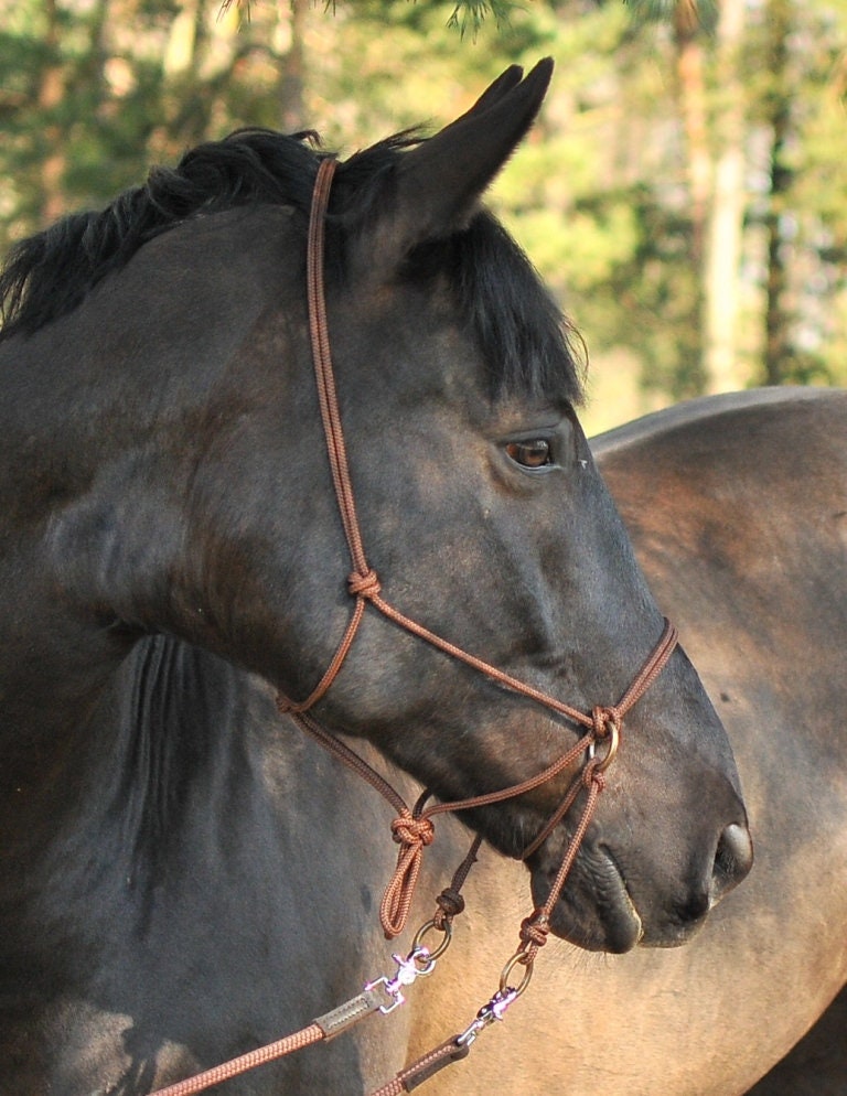 Bridle Bitless Rope or Bitless Rope Sidepull Reins - Etsy