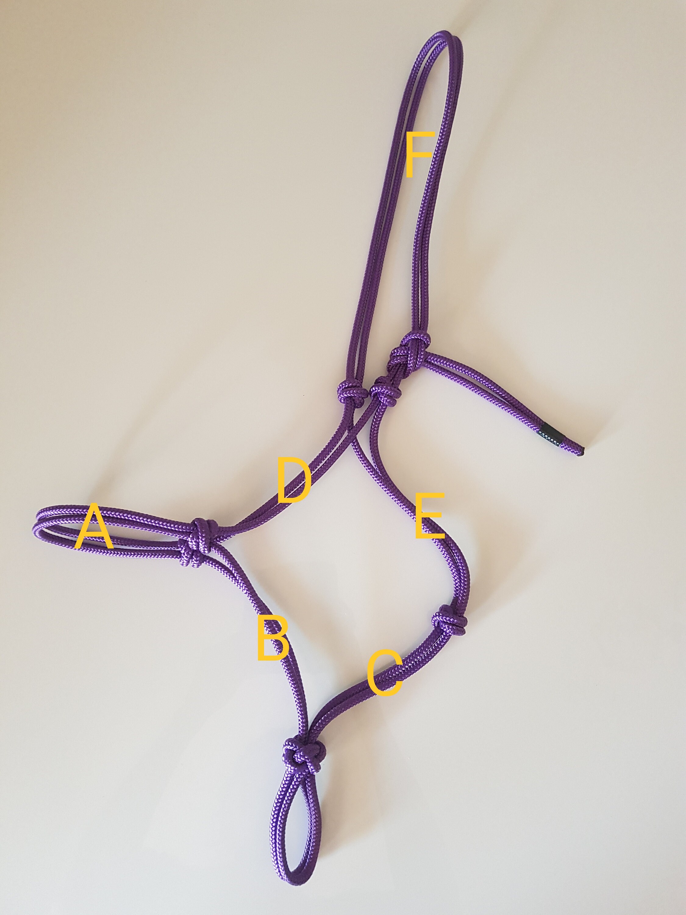 Rope Bitless Bridle - Halter - Reins - Handmade - Etsy