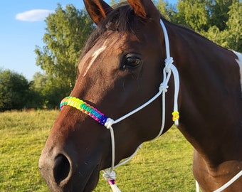 Braided Rope halter rainbow - Handmade