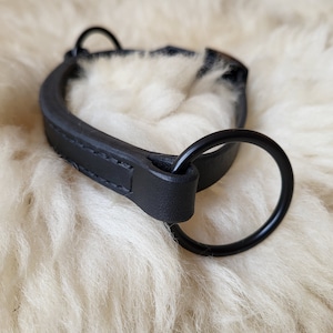 Black rings Bridle-less Bit leather