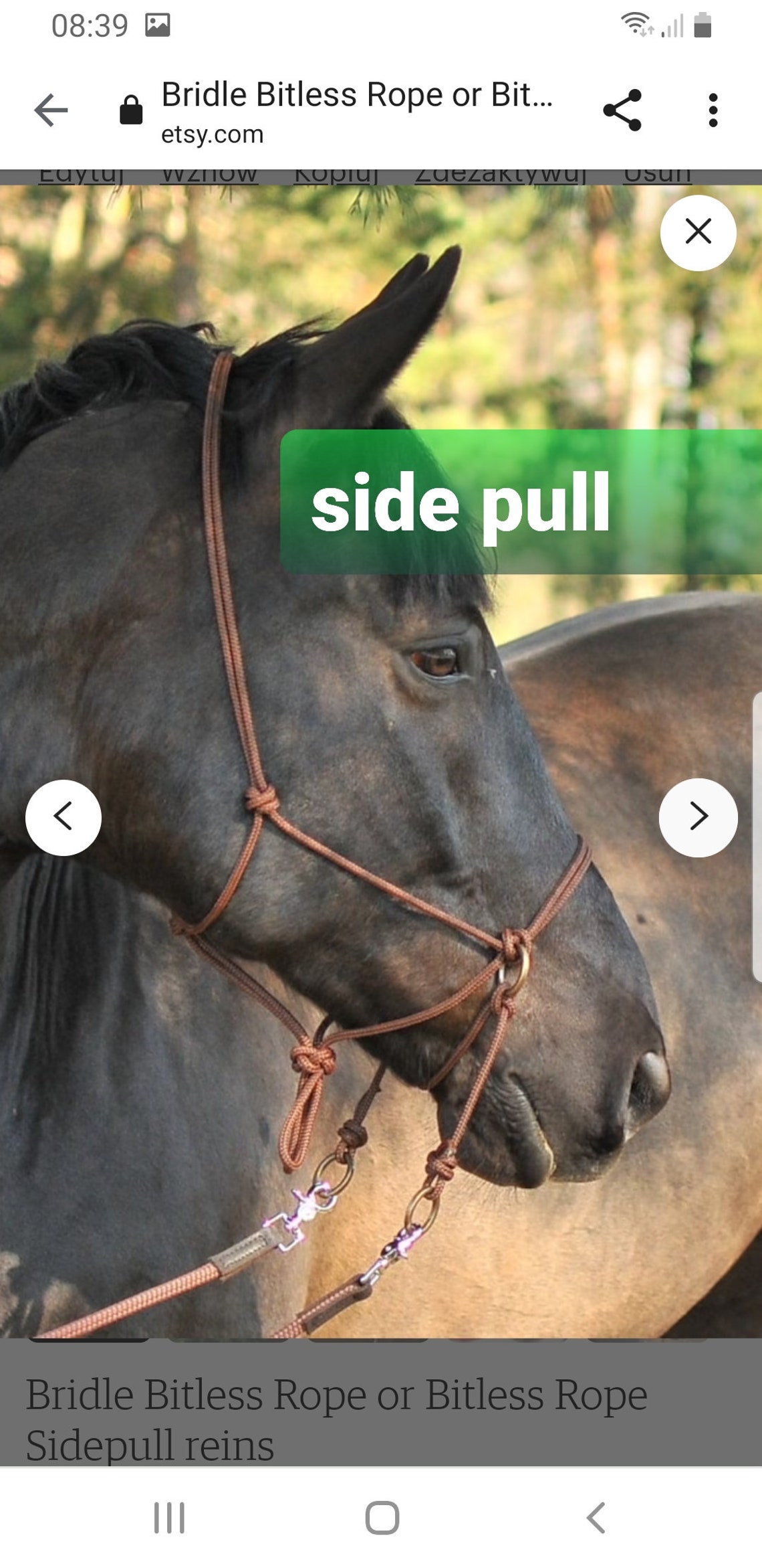 Bridle Bitless Rope or Bitless Rope Sidepull Reins - Etsy