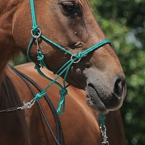 Bridle Bitless Rope  or Bitless Rope Sidepull reins