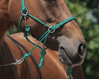 side pull hackamore attachment Red with black or brown chinstrap....all sizes side pull hackamore attachment Red with black or brown chinstrap....all sizes