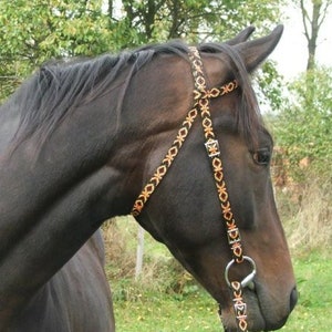 Bridle Indiana + rains. Handmade
