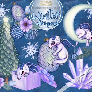 May include: A set of 18 winter-themed digital clipart images featuring dragons, snowflakes, trees, and crystals. The images are perfect for creating winter-themed crafts, cards, and other projects. The images are 8-12 inches in size.