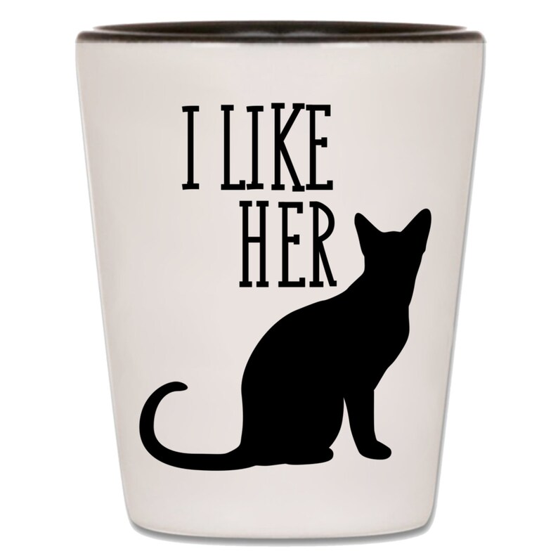 Funny Shot Glass Shot Glasses Funny Gag Gift for Couple Etsy