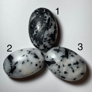May include: Three oval-shaped stones with a speckled pattern of black and white. The stones are smooth and polished, with varying concentrations of black inclusions. The stones are numbered 1, 2, and 3.