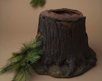 Digital Backdrop Stump on neutral with evergreens