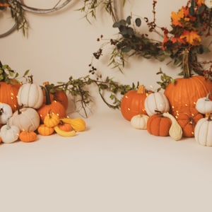 Fall Digital Backdrop/Backdrop with White/Orange Pumpkins, Hoops Twinkle Lights (set of 2)