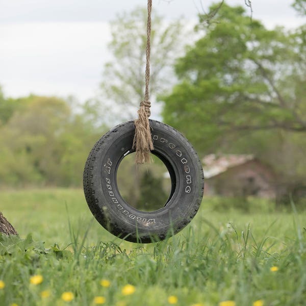 Set of 2 Swings: Tire Swing and Wooden Swing with Flowers Outdoor Digital Background/Digital Backdrop/Overlay