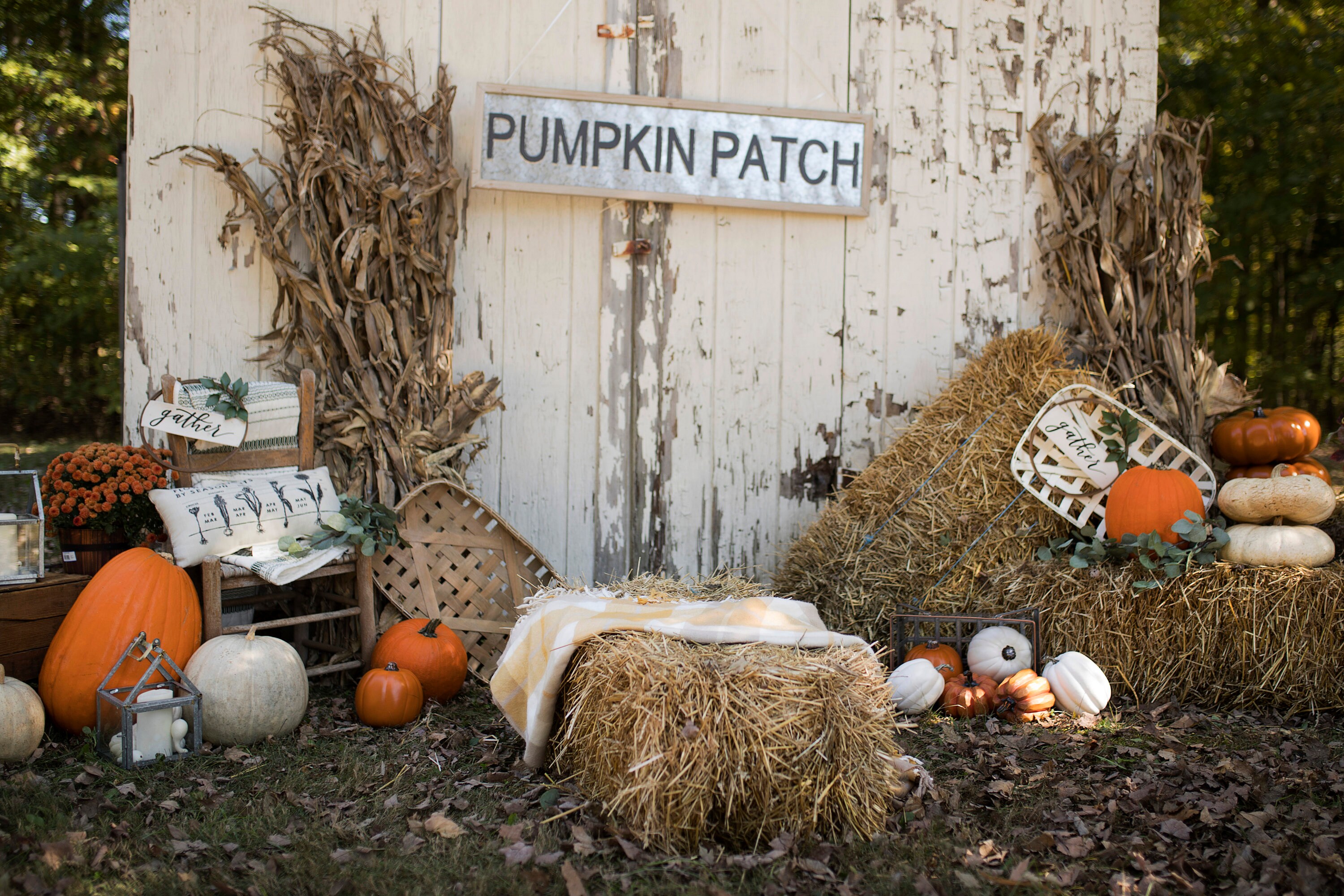 Outdoor Pumpkin Patch / Farmhouse Setup With Pumpkins/ Hay Bales ...