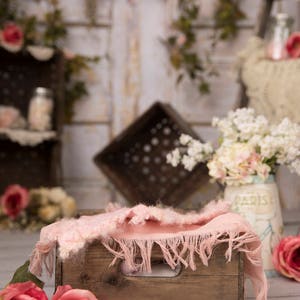 Set of 2 Newborn Farmhouse Barnwood with shiplap with florals,flowers, mason jars digital background/digital backdrop