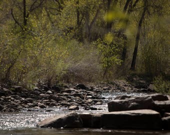 Creek at Spring time with rocks and green trees digital background/digital backdrop/overlay