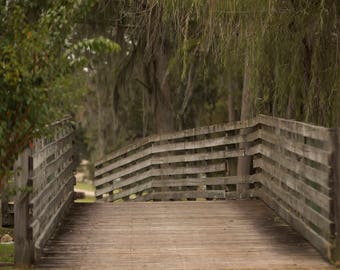 Long wooden bridge with trees hanging down digital background/digital backdrop