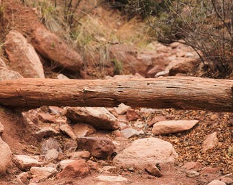 Log over rocky path with rocks in the mountain desert digital background/digital backdrop