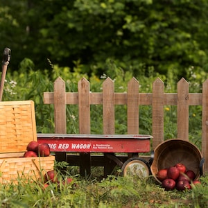May include: A red toy wagon with a wooden fence in the background. The wagon has the words "Big Red Wagon" printed on the side. There are apples in a basket and a bowl next to the wagon.