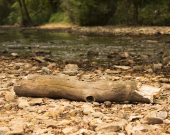 Log By Creek with Greenery and Water Digital Background/Digital Backdrop