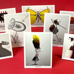 ANIMALS postcard set