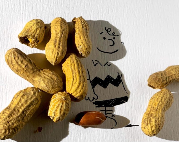 Signed PRINT – charlie brown peanuts