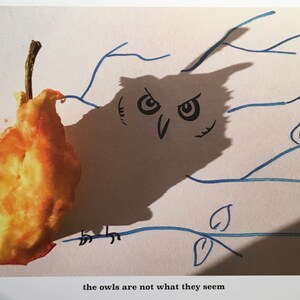 Signed PRINT the owls are not what they seem image 3