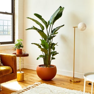 Calyer 46 Planter Pot, Large Lightweight Fiberglass Planter, Indoor/Outdoor, Drainage Hole and Removable Plug