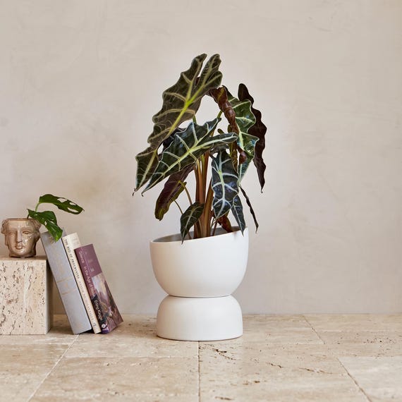 Varick 20 Self Watering Pot - Etsy