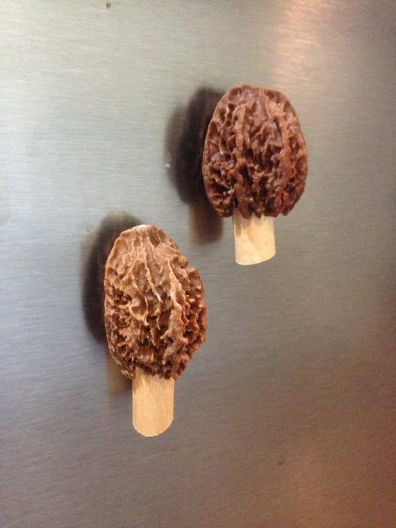 Morel Refrigerator Morel Mushrooms Etsy