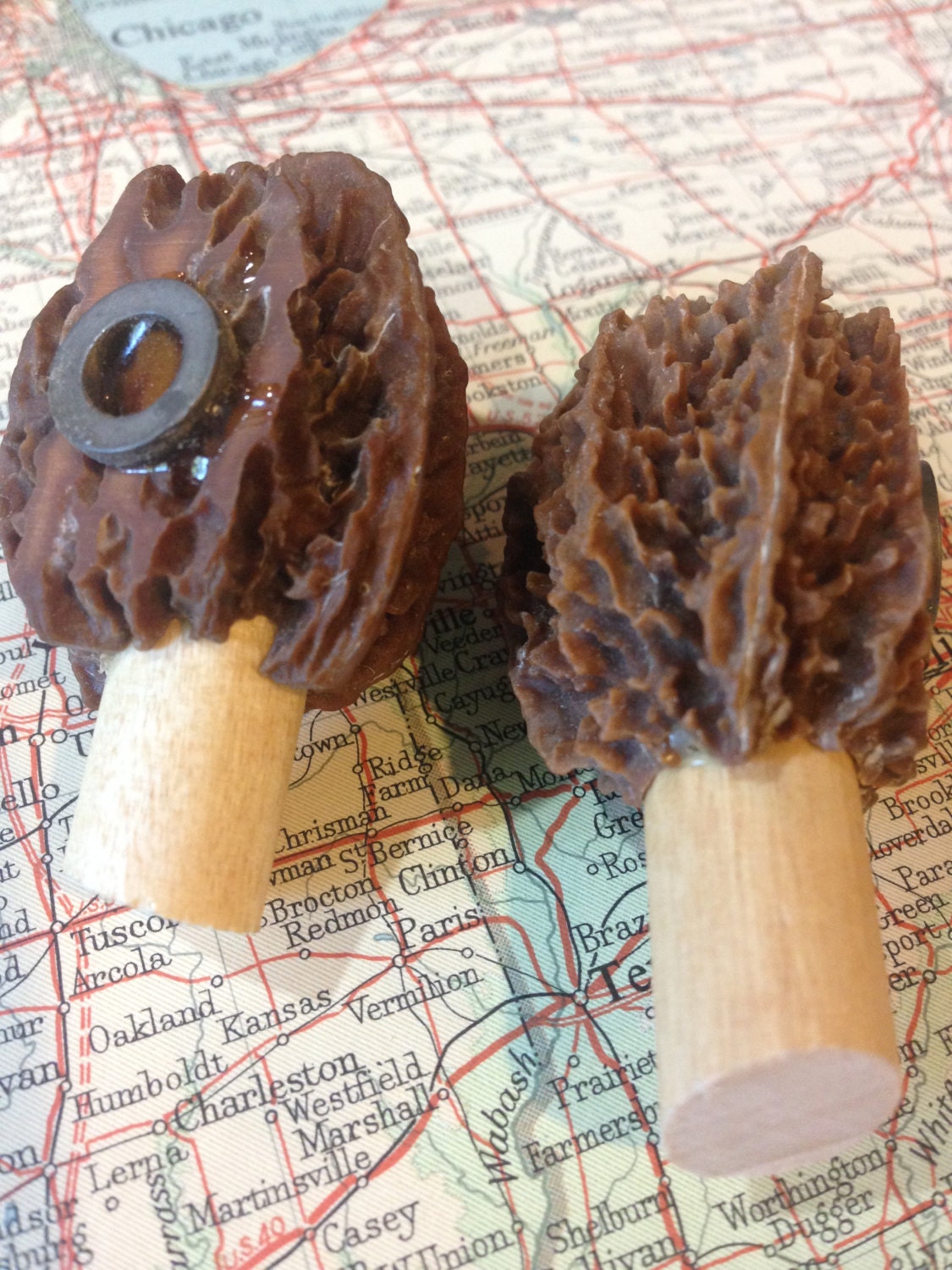 Morel Refrigerator Morel Mushrooms Etsy